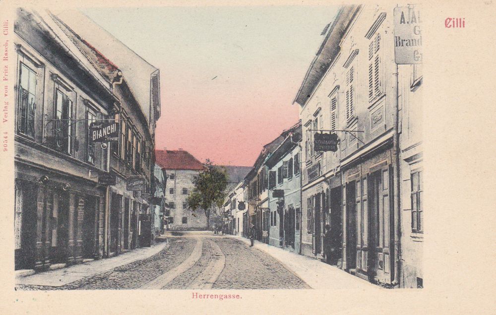 Postcard_of_Gosposka_ulica_(Celje).jpg