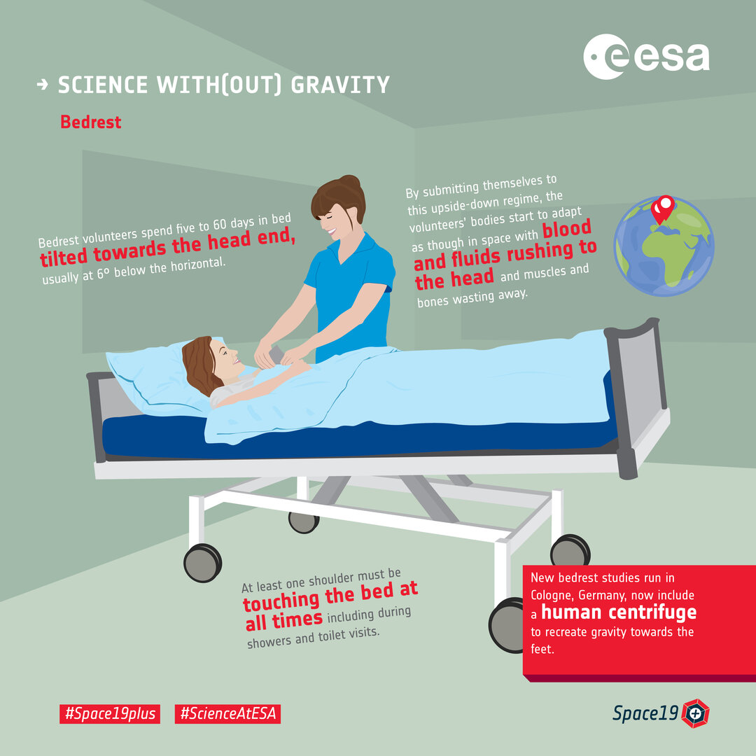 Science_with_out_gravity_bedrest_pillars.jpg