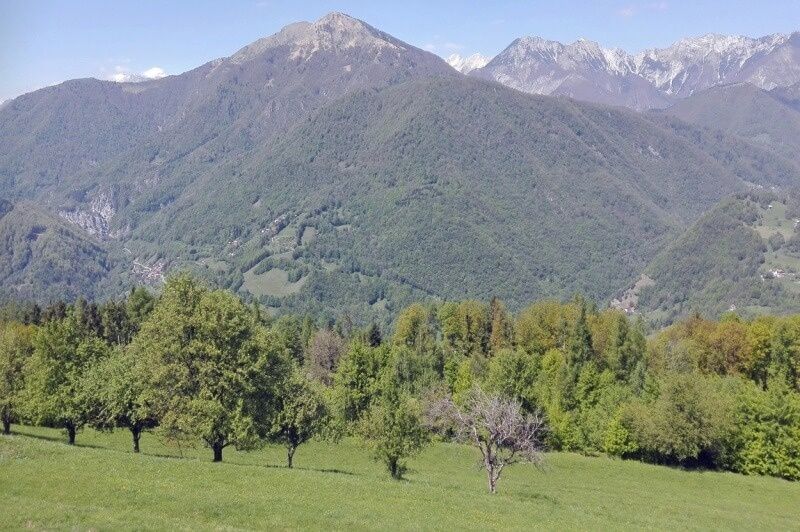 property in slovenia soca valley real estate (1).jpg