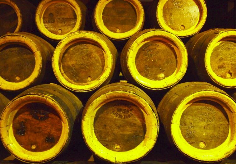 yellow barrels.JPG