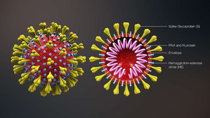 Coronavirus: Public Institutions Start Precautionary Measures