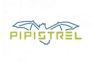 Pipistrel Bids for Adria Airways&#039; Flight School