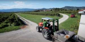 Slovenian Farms Will Get Help to Reduce High Food Production Costs