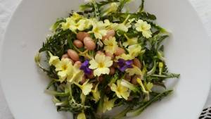 Slovenian Recipe of the Week: Dandelion Salad