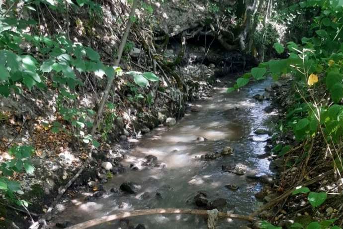 Jezernica creek