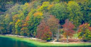 Get away from it all