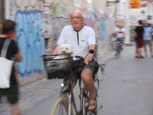 Drunk cycling (not pictured) is not allowed