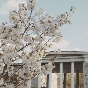 COVID-19 &amp; Slovenia, Afternoon 7 April: Numbers, Exit Strategy, Public Sentiment, Fiscal Council