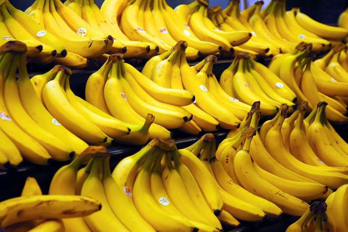 1.5 Tons of Cocaine Traveling to Slovenia With Bananas Found in Malta