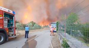 UPDATED: Four Villages in Kras Evacuated Due to Fire (Videos)
