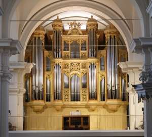 The organ in question