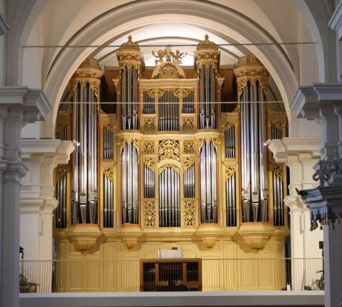The organ in question