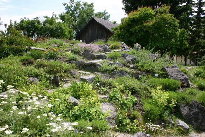 20% of Slovenian Flora Now in Botanical Gardens Seed Bank