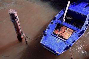 Blue Skiff on Water