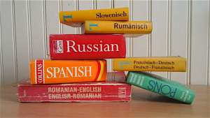Translators, Interpreters &amp; Copy Editors Call For More Regulation, Higher Standards, More Security