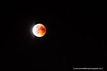 Blood Micro Moon 2018 (Photos & How-to Video)