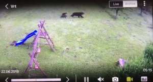 Screenshot of the embedded video