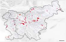 The areas most at risk, as determined by the Institute of Water for the Republic of Slovenia