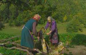 A Disappearing World