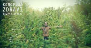 Talking with the Slovenian Cannabis Social Club (SKSK) About Its Aims &amp; Achievements