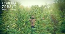Talking with the Slovenian Cannabis Social Club (SKSK) About Its Aims & Achievements