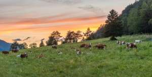 Sunset in Završnica