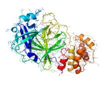 Phyre2 model ribbion diagramm rendering of the 2019-nCoV coronavirus protease as target for antiviral drugs