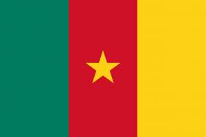 The flag of Cameroon