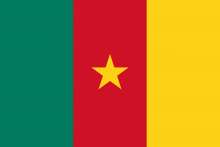 The flag of Cameroon