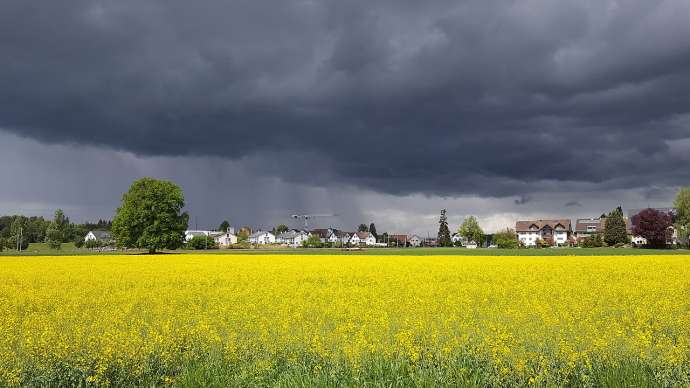 Storm Causes Damage in NE Slovenia