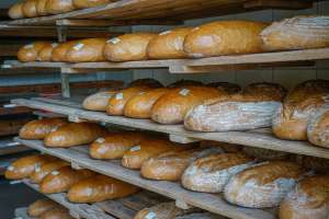 Slovenia Moves to Safeguard Wheat Supplies