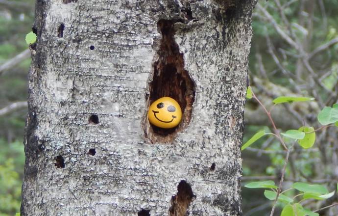 Who’s Happiest in Slovenia?