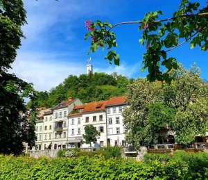 COVID-19 &amp; Slovenia, Night April 29: Numbers; End of Inter-Municipal Travel Ban; Get Used to New Normal; Job Security Concerns; New Rules for Hairdressers, Beauty Salons