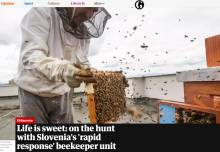 Slovenian Beekeeping Culture Featured in 'The Guardian'