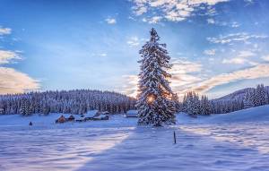 Frozen village at the Pokljuka plateau in Slovenia, 2015