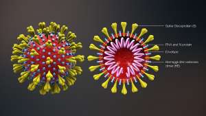 The virus