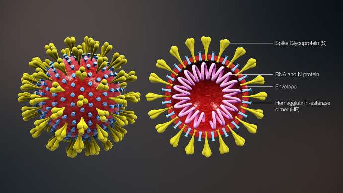Coronavirus: Slovenia’s Second Case Confirmed, Was in Contact with First (Updated 14:10)