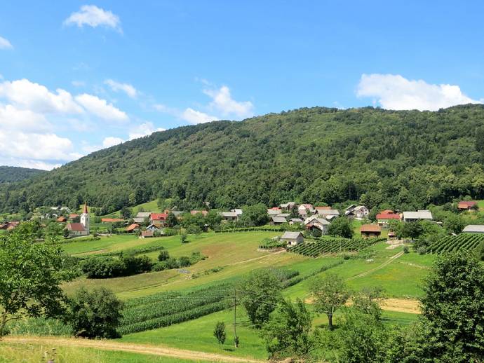 A small farm in Slovenia