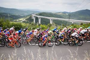 The peloton is regrouped / Comrades and friendship