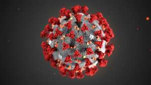 The 2019 Novel Coronavirus (2019-nCoV)