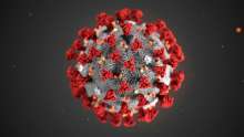 The 2019 Novel Coronavirus (2019-nCoV)