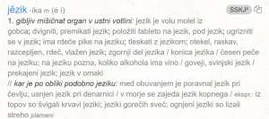 International Mother Language Day: Slovenian Language Still Flourishing