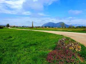 Easing of Coronavirus Lockdown in Slovenia Expected Next Week, Details Thursday