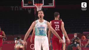 Zoran Dragić celebrates